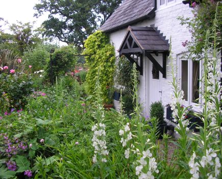 Cottage Garden Society set to show why ‘bijou can be best’ at Gardeners’ World Live