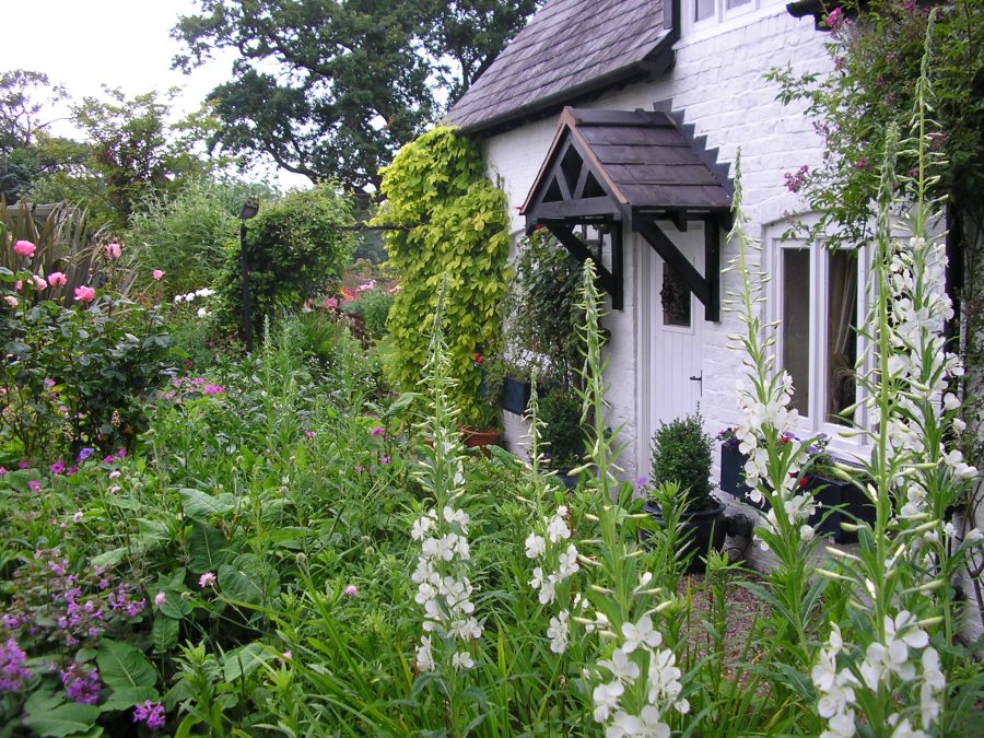 Cottage Garden Society set to show why ‘bijou can be best’ at Gardeners’ World Live