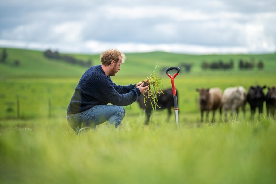 Join the largest annual gathering of the Real Farming movement this January