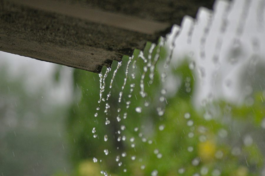 Why rainwater harvesting tanks are a smart solution for smallholders