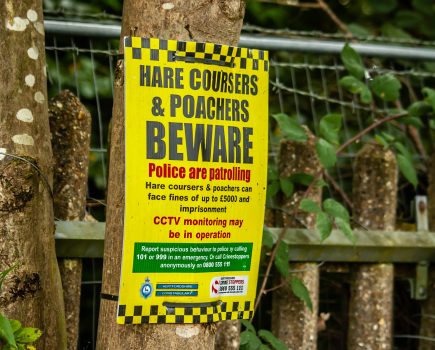 Sentencing Council consults on guideline for sentencing hare coursing offences