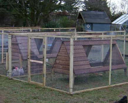 How to: create the perfect chicken run