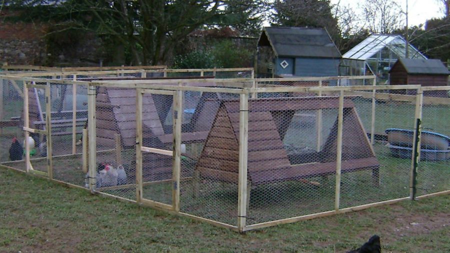 How to: create the perfect chicken run