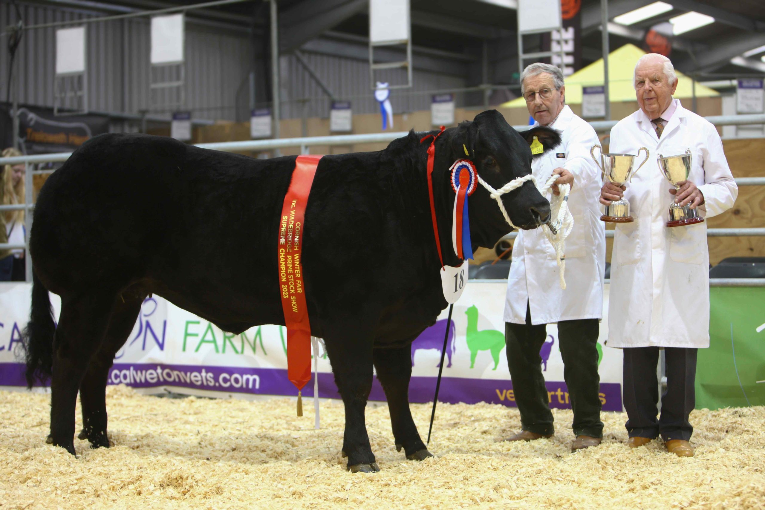 Quality field delights the crowd at the Cornish Winter Fair Country