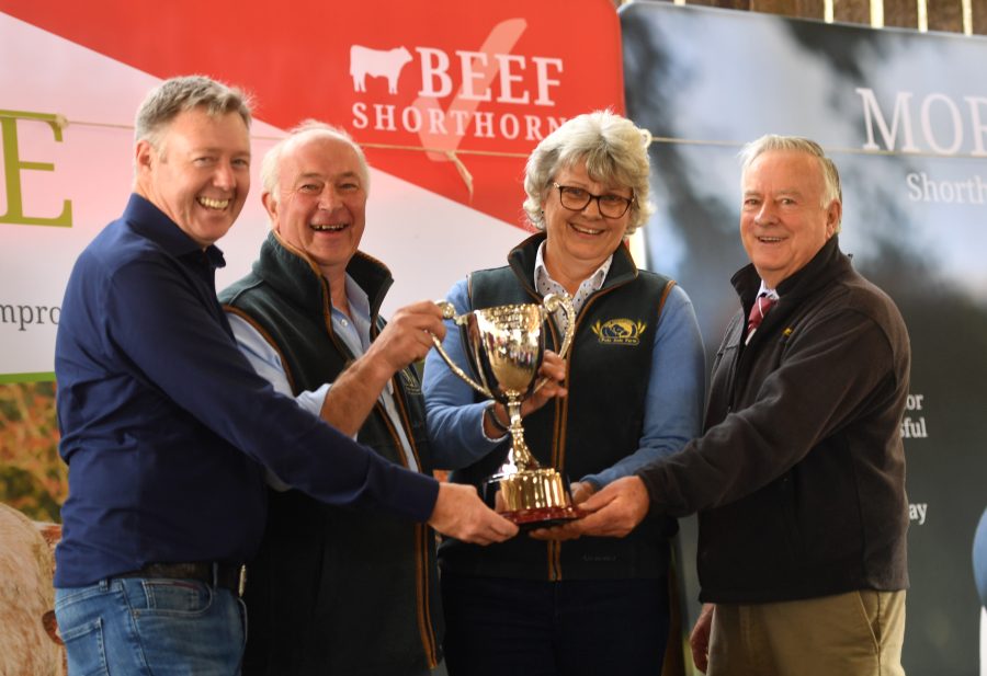 Cream of the crop under spotlight for the Beef Shorthorn Cattle Society’s National Herd Award