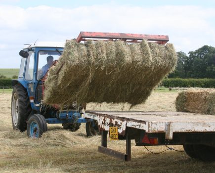 Machinery Matters: The art (and science) of hay baling