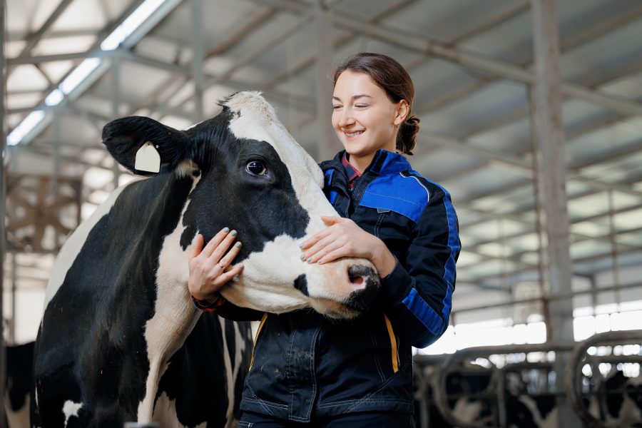 Livestock keepers wanted for vet student placements