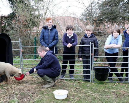 Loan a Lamb initiative cultivates hands-on learning for thousands of school children across Sussex and Surrey