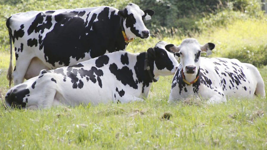 Milk industry in turmoil