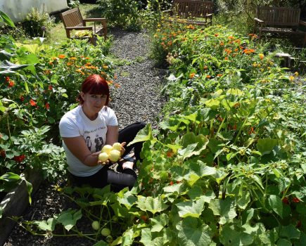 How to conserve water in your garden