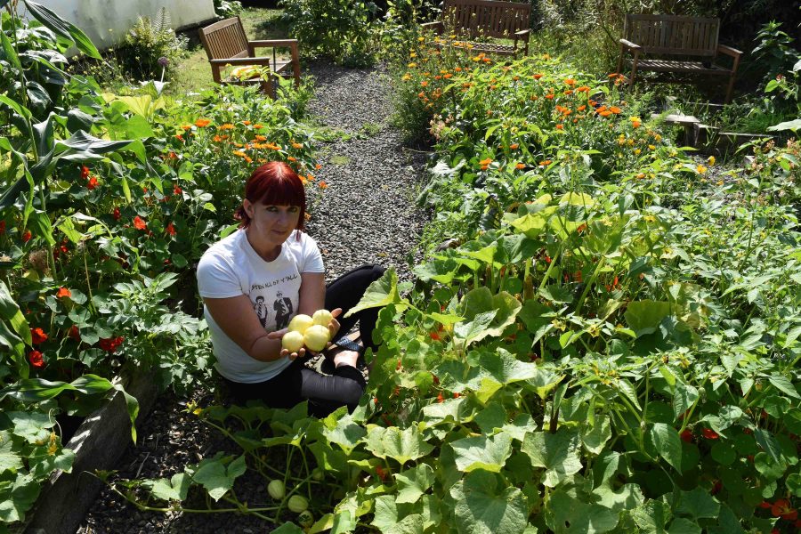How to conserve water in your garden