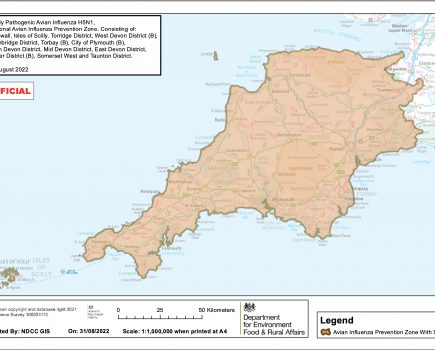 Avian influenza prevention zone declared across Devon, Cornwall and parts of Somerset
