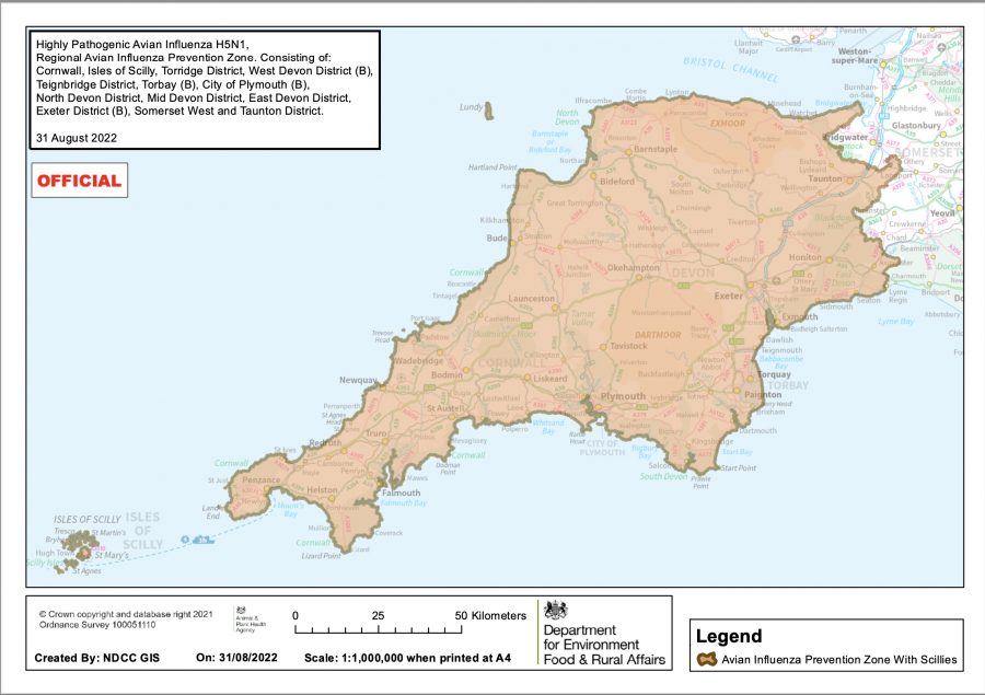 Avian influenza prevention zone declared across Devon, Cornwall and parts of Somerset