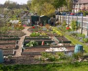 Wildlife Trusts’ Nextdoor Nature scheme plants the first seed for novice gardeners