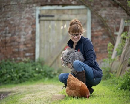 A passion for poultry: one million hens rehomed