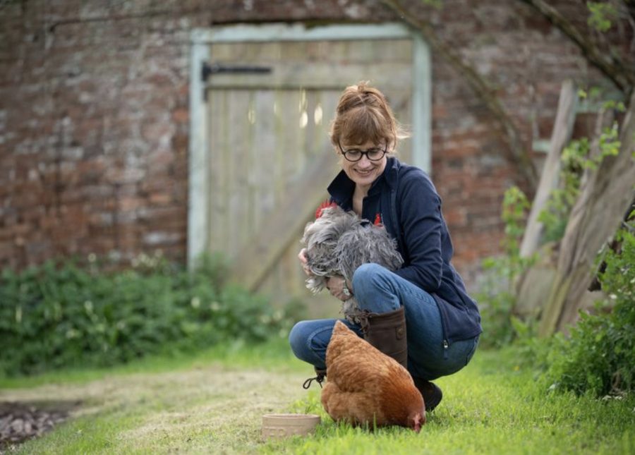 A passion for poultry: one million hens rehomed