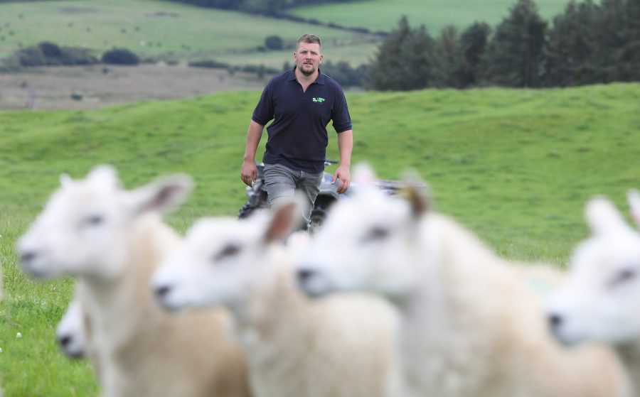 Book now for Dumfries Monitor Farm meeting on colostrum research