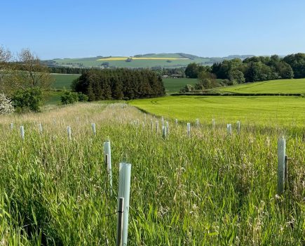 A practical approach to improving biodiversity and farm resilience