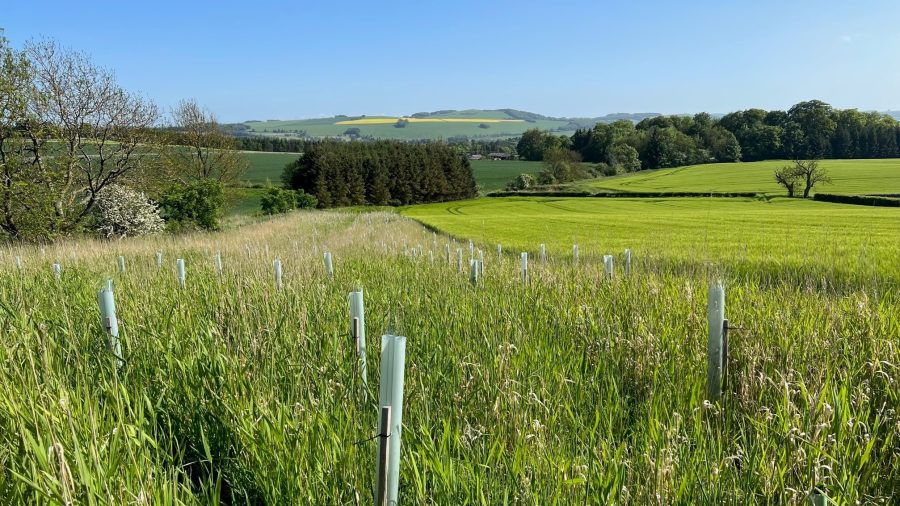 A practical approach to improving biodiversity and farm resilience