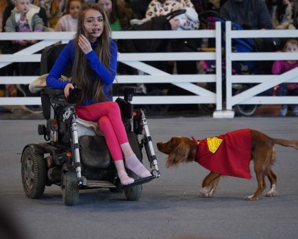 Super Spaniels return to Springtime Live 2025