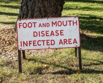 UK responds to news of foot and mouth outbreak in Germany