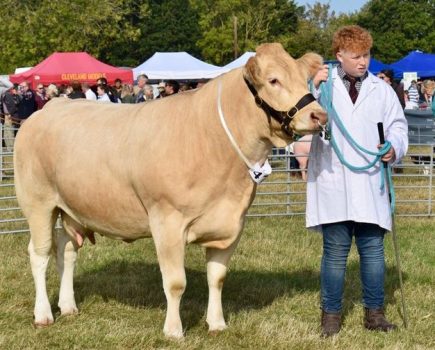 Gransden Show cancels cattle, sheep and goat classes due to bluetongue restrictions