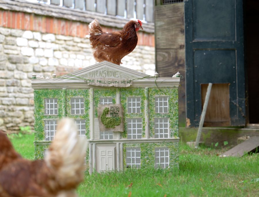 The King rehomes national charity’s one millionth hen at Highgrove Gardens