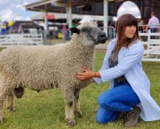 Exhibition celebrates iconic sheep breed named at Great Yorkshire Show