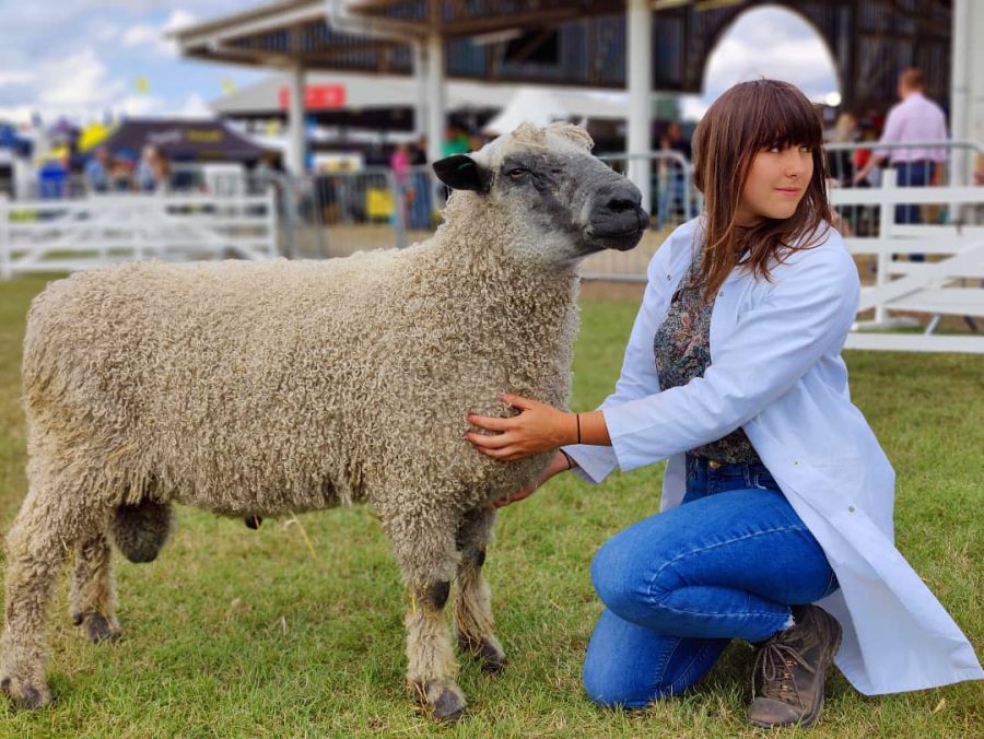 Exhibition celebrates iconic sheep breed named at Great Yorkshire Show