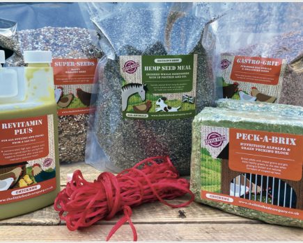 Win a Little Feed Company Poultry Bundle worth £90