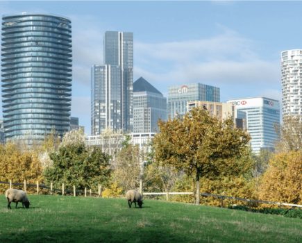 How city farms are actively conserving the UK’s native breeds