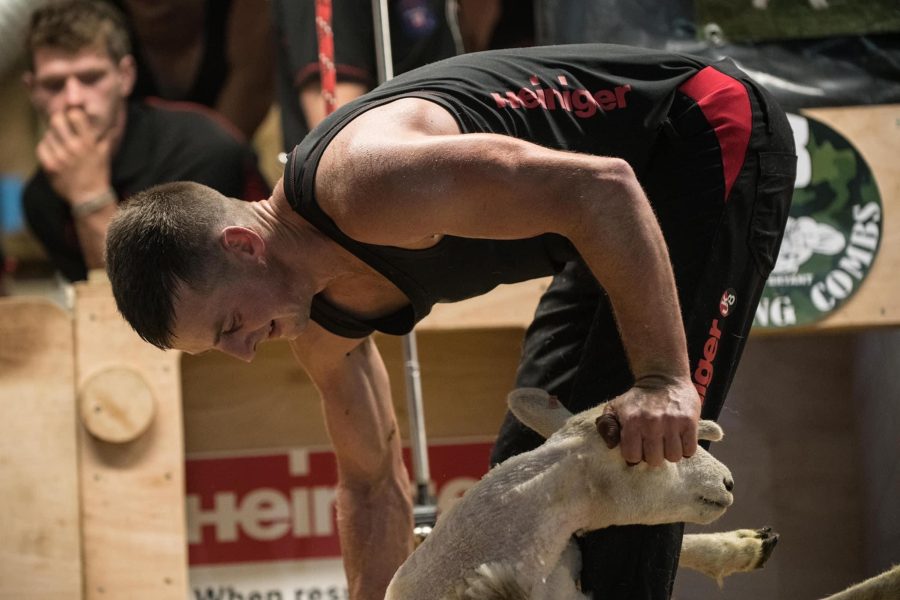 Staffordshire shearer gears up for his World Challenge