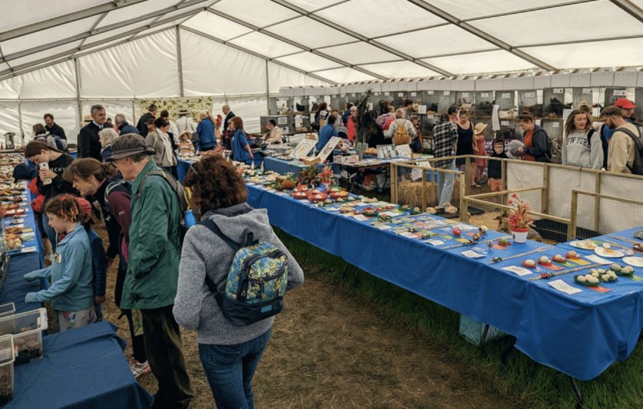 On with the shows: David Parsons celebrates the return of poultry competitions at the Bath and West Show