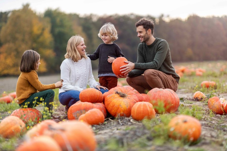 Farmers and landowners urged to exorcise the pumpkin-picking pitfalls of Halloween