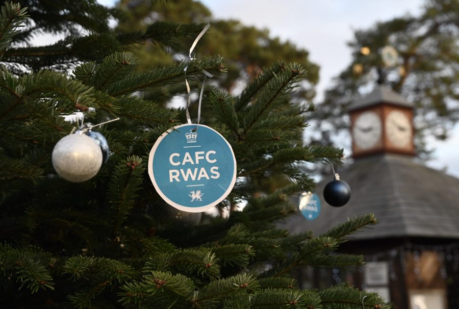 A festive celebration of shopping, food and entertainment at the Royal Welsh Winter Fair 2024