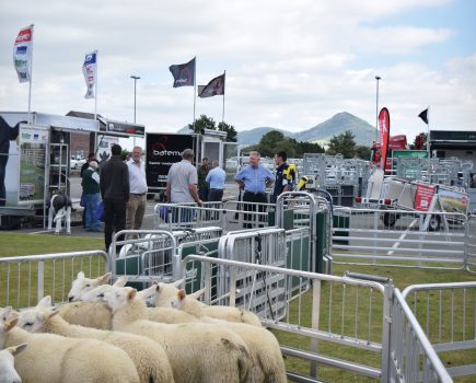 Wynnstay Sheep and Beef Event: chartering a positive future for the red meat sector