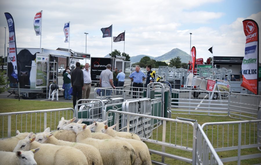 Wynnstay Sheep and Beef Event: chartering a positive future for the red meat sector