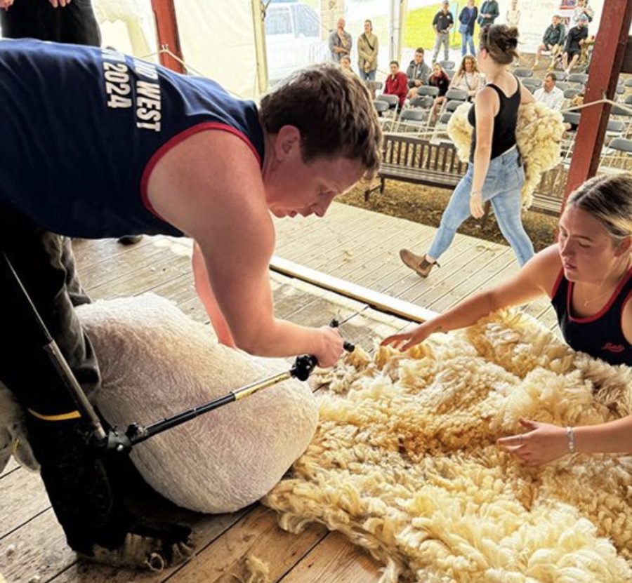 British Wool launches Young Farmers’ Club shearing training offer for another year