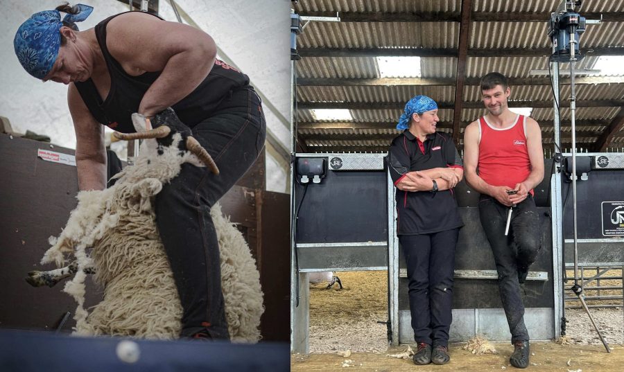 Scotland’s Una Cameron sets her sights on shearing record