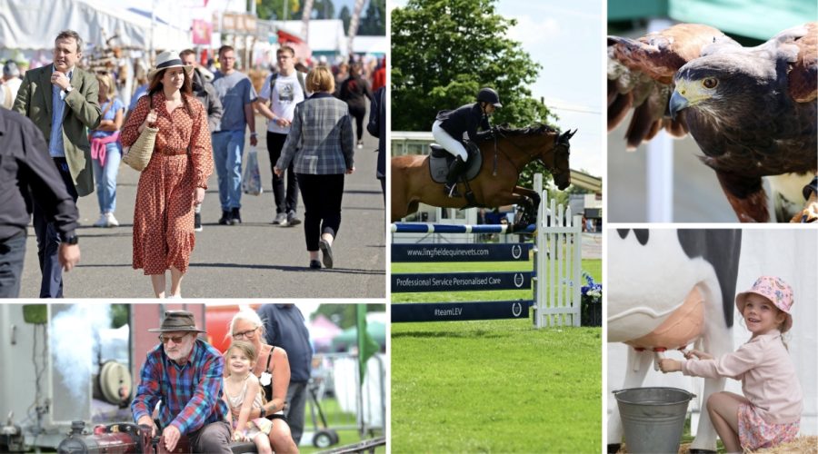 Win one of two exclusive family tickets to the South of England Show 2025!