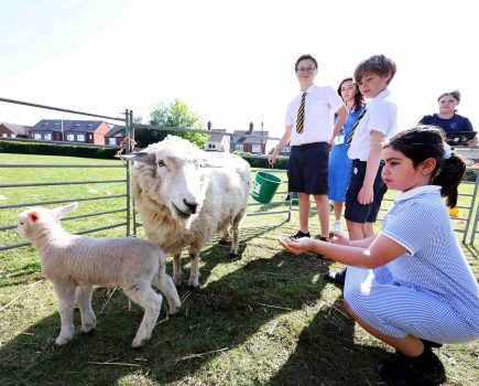 Sussex and Surrey pupils take part in ‘Loan a Lamb’ initiative as schools bring farming to the classroom