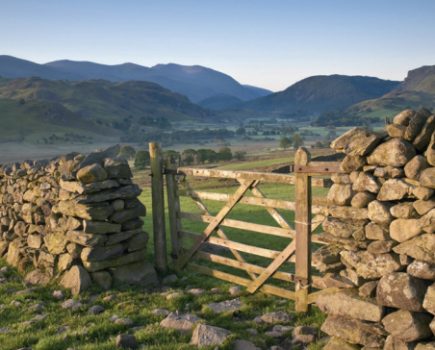 Rock Review recommendations to improve support for tenant farmers