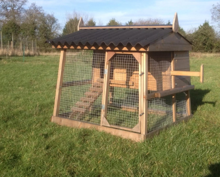 Win a poultry house for your flock