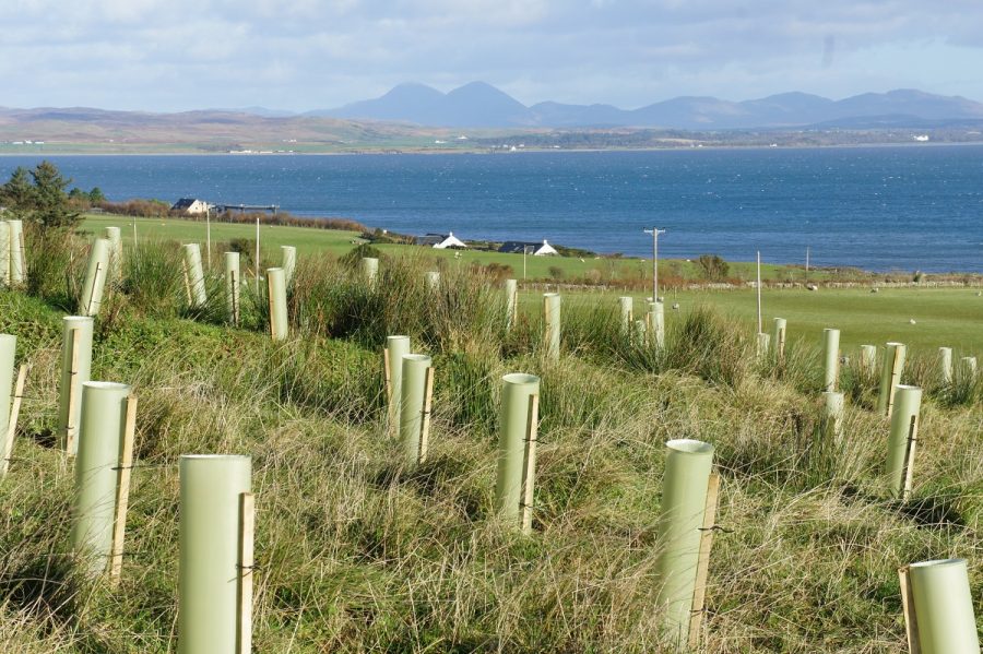 Free woodland advice for crofters and smallholders