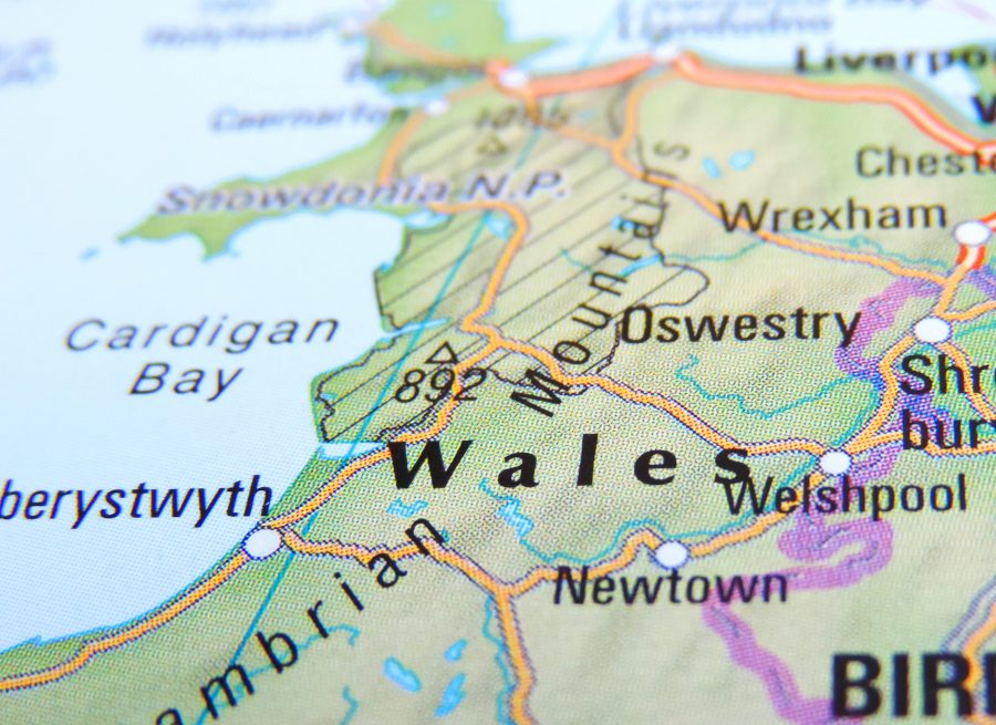 Avian Influenza Prevention Zone declared in Wales