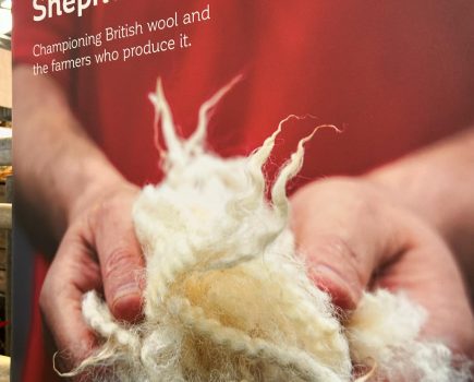 Wool Month 2024 looks to drive demand for British wool