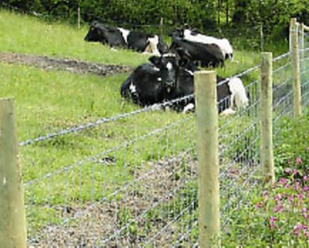 A fence to last