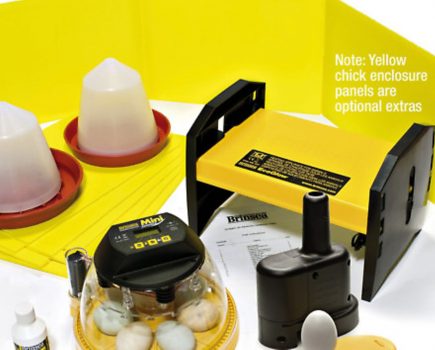 WIN a hatching kit!