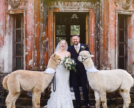 This smallholder hires out alpacas for weddings