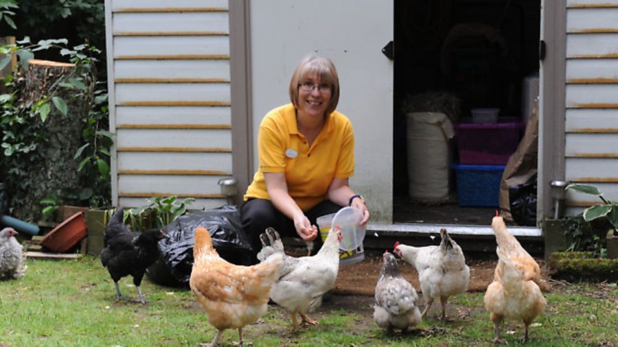 Chickens bring new life to care home in Cambridgeshire